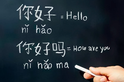中文
